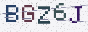 Type the characters shown