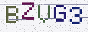 Type the characters shown