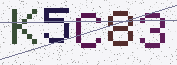Type the characters shown