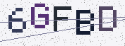 Type the characters shown