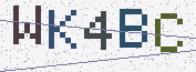 Type the characters shown