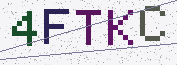 Type the characters shown