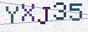 Type the characters shown