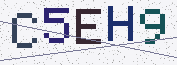 Type the characters shown