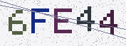 Type the characters shown